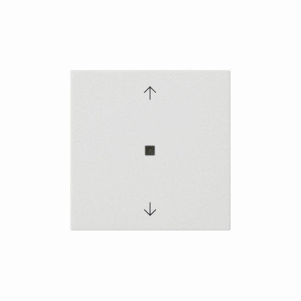 Gira 538827 Wippe 1-fach Pfeile Kontrollfür System 55 Reinweiß m