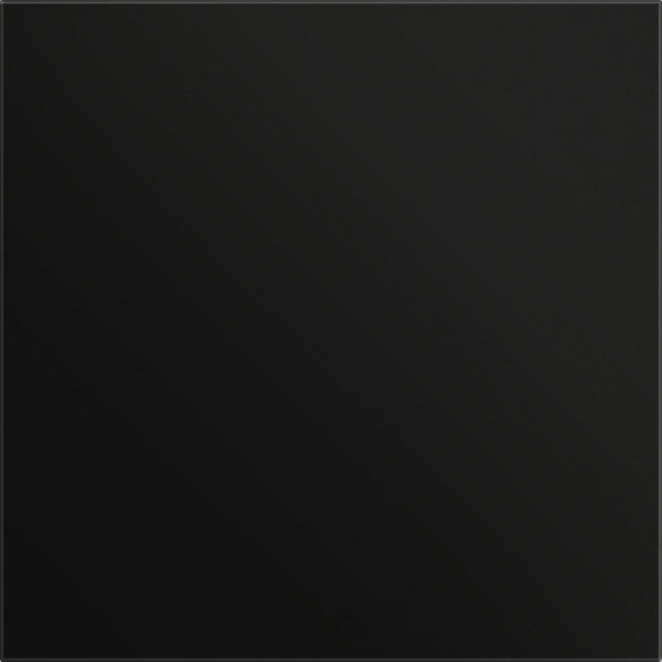 Gira 5554925 Frontplatte Info-/Blindmodul System 106 Schwarz m