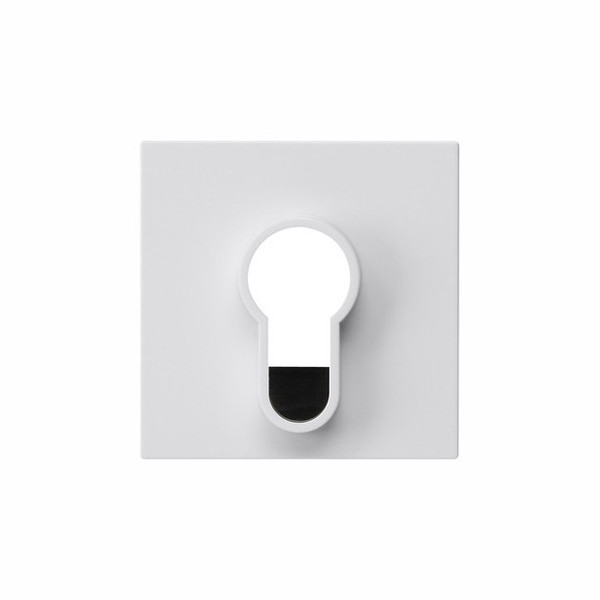 Gira 866403 AbdeckungSchlüsselschalter/-taster o.Aufdruck System 55 Reinweiß