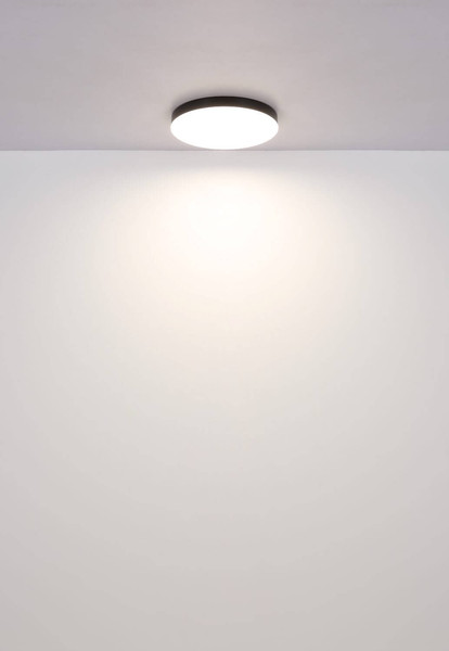 Globo LED Deckenleuchte Matthew 50W CCT warm-/neutral-/tageslichtweiss Schwarz matt Ø50cm