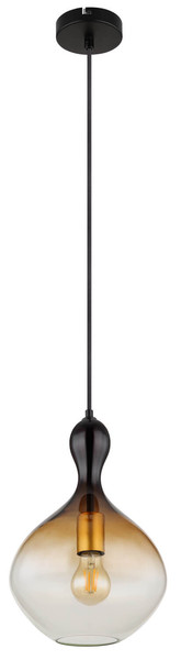 Globo Aladdin E27 Hängeleuchte 40W Schwarz Matt, Metall Ø23cm 15538H1