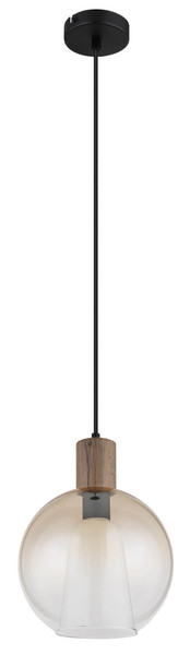 Globo Barry I E27 Hängeleuchte 40W Schwarz Matt, Metall Ø25cm 15773H