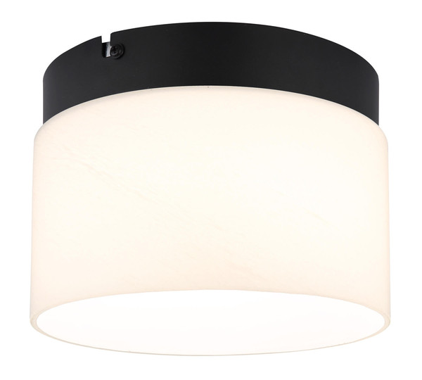 Globo Trenton LED Deckenleuchte 10W CCT Schwarz Matt, Metall Memoryfunktion Ø20cm 16052D