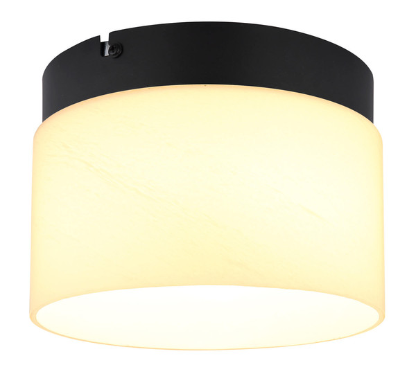 Globo Trenton LED Deckenleuchte 10W CCT Schwarz Matt, Metall Memoryfunktion Ø20cm 16052D