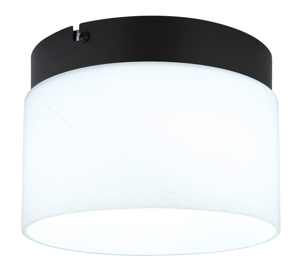 Globo Trenton LED Deckenleuchte 10W CCT Schwarz Matt, Metall Memoryfunktion Ø20cm 16052D