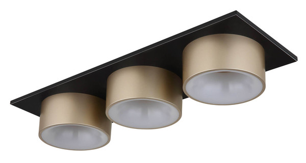 Globo Raymond LED Deckenleuchte 24W Warmweiß Schwarz Matt, Metall Ø15cm 56964-3