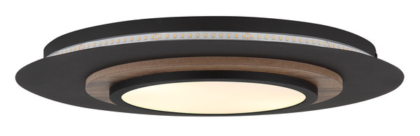 Globo Kory LED Deckenleuchte 24W Warmweiß Schwarz Matt, Metall Memoryfunktion Ø48cm 67352-24