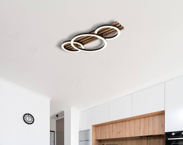 Globo Tisha LED Deckenleuchte 24W Warmweiß Schwarz Matt, Metall Ø30cm 67353D3