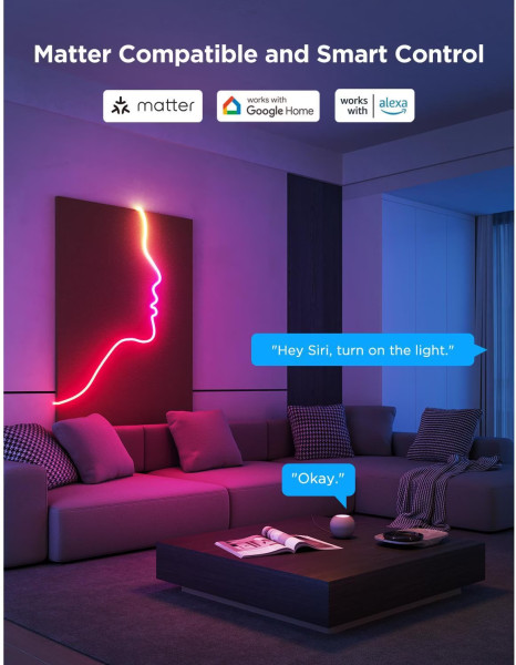 Govee Neon Rope Strip Ligth 2 - 4M, Smarter LED Streifen, Alexa, Matter & Google H61D4C01