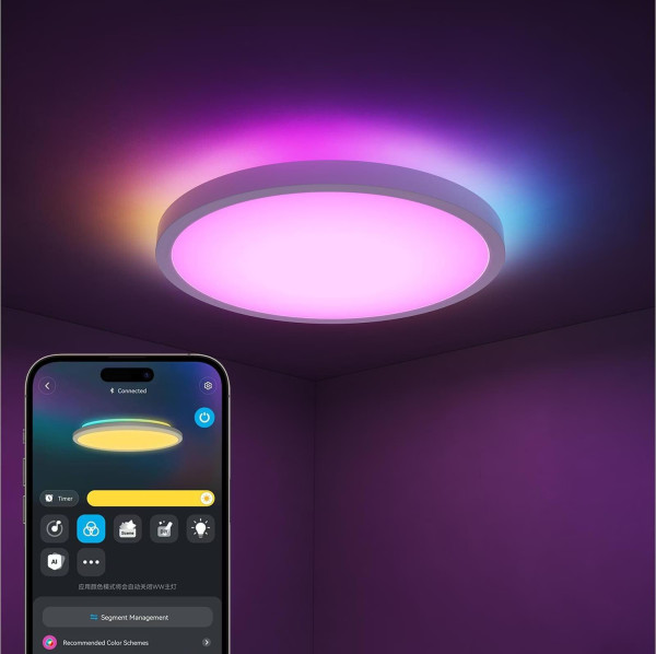 Govee Smarte LED Deckenleuchte 30cm mit Backlight, RGBWW + RGBIC, Musik-Sync DreamView, 2400Lm Weißlicht H80A1C01