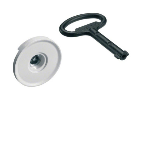 Hager FZ449N Schließung, univers, Doppelbart, 3mm, mit 1 Schlüssel, für Schrank IP44/54