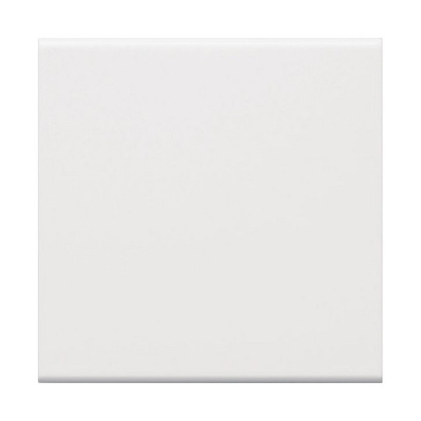 Hager GW1B9016 Wippe 1-fach für Schalter/Taster für Rahmenblende 55 halogenfrei verkehrsweiß