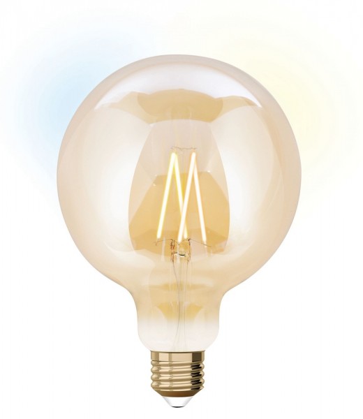 iDual LED Filament Lampe E27 2200-5500 K dimmbar G125 Globe 9W Amber