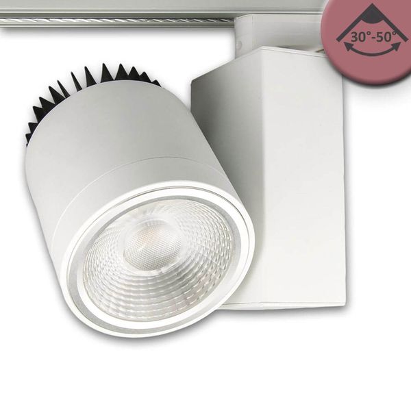 ISOLED 3-PH Schienen-Strahler Fresh Meat Light, 40W, 30°-50°, weiß matt