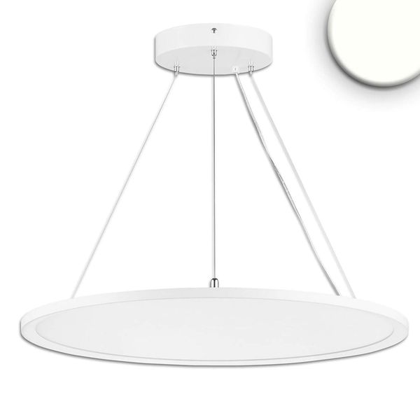 ISOLED LED Office Hängeleuchte Up+Down, 20+20W, DN610, weiß, UGR19, 4000K, dimmbar