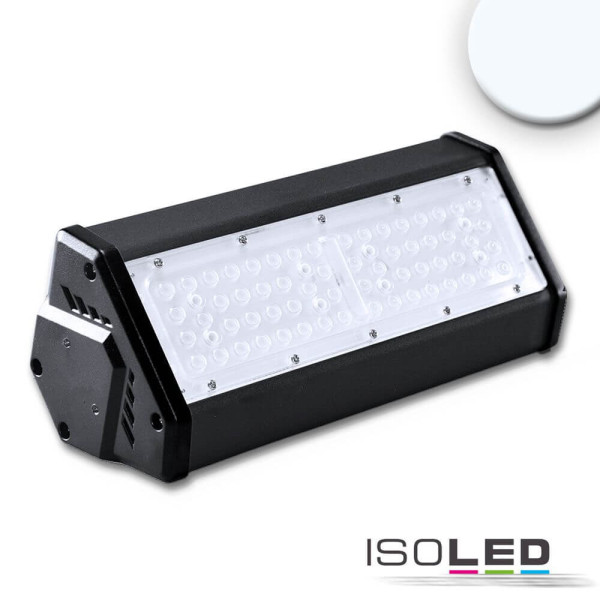 ISOLED LED Hallenleuchte LN 50W, IK10, IP65, kaltweiß, 30°x70°, 1-10V dimmbar