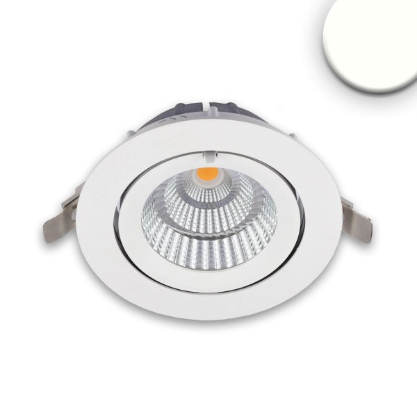 ISOLED LED Shop-Downlight Sphere, 35W, ausschwenkbar, weiß, neutralweiß