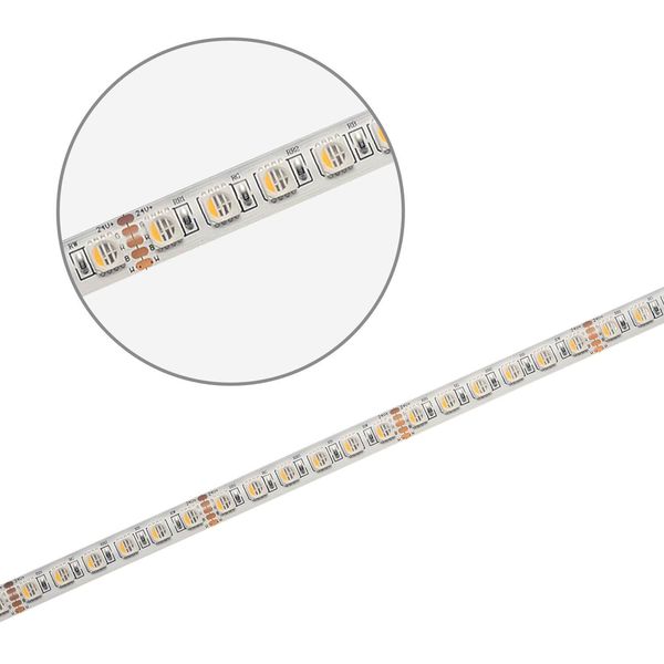ISOLED LED SIL RGB+WW Flexband Streifen, 24V, 19W, 4in1 Chip, 96 LED/m