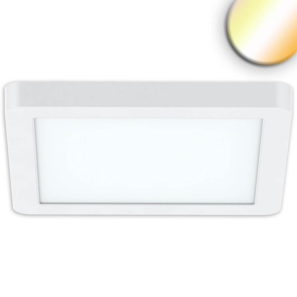 Isoled LED Aufbau/Einbauleuchte Flex Pro 300x300, 22W, weiß, 120lm/W, 3000/3500/4000K, dimmbar 116831