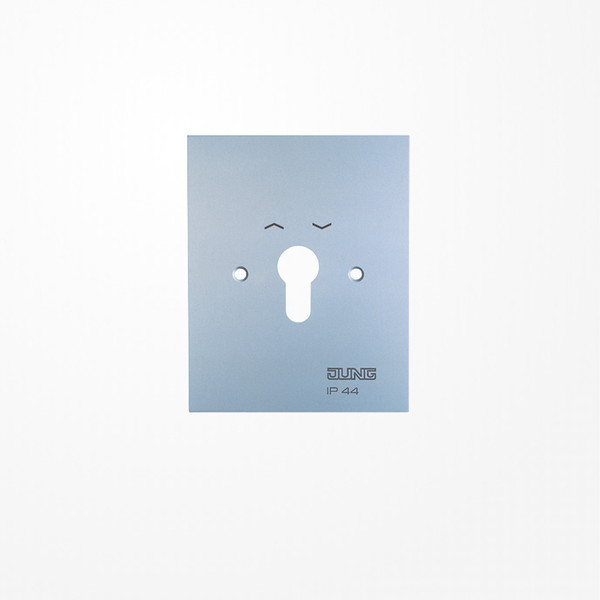 Jung 4.28WUG Metall-Abdeckung 125x100mm, mit Symbolen, WG 800, Alu matt