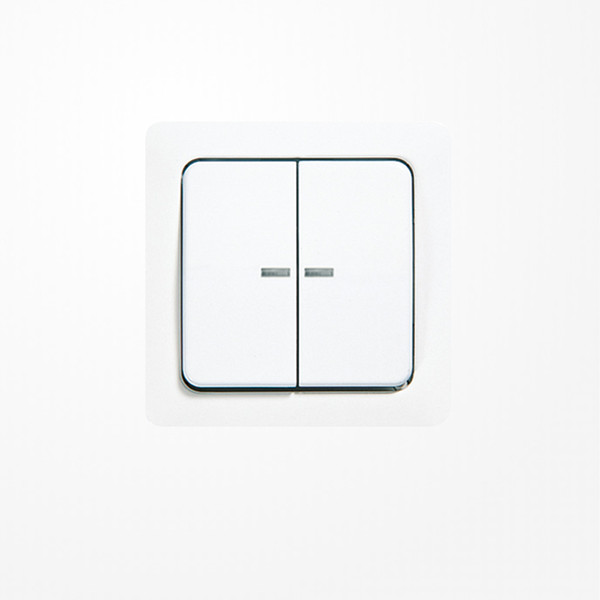 Jung 5561-5KO5WW Wippe mit Lichtleiter, Duroplast, ST 550, alpinweiß