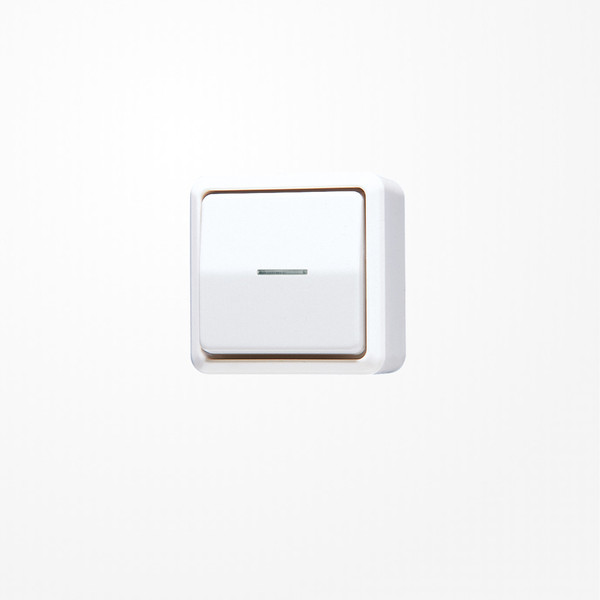 Jung 606KO5AWW Wipp-Kontrollschalter, Universal Aus-Wechsel, 10 AX 250 V ~, AP 600, alpinweiß