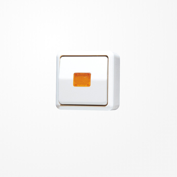 Jung 606KOAWW Wipp-Kontrollschalter, Universal Aus-Wechsel, 10 AX 250 V ~, AP 600, alpinweiß