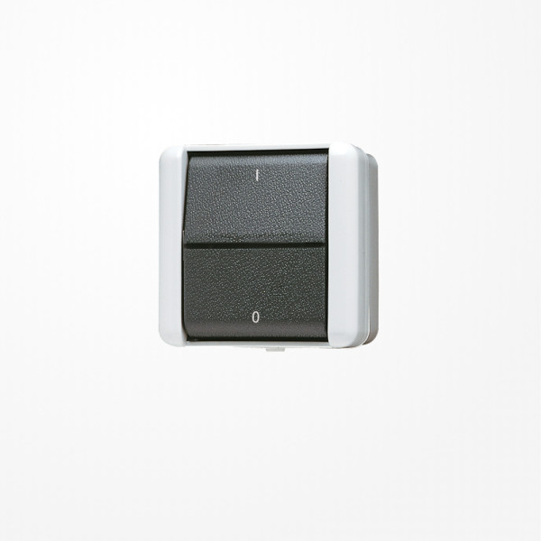 Jung 802W Wippschalter, Aus 2-pol.,  AX 250 V ~, IP 44, WG 800