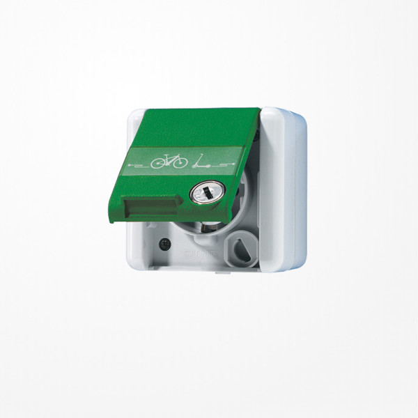 Jung 820GNNAWSLEB SCHUKO-Steckdose, 16 A 250 V ~ mit E-Bike-Ladesymbol, mit Schriftfeld, Klappdeckel, mit Sicherheitsschloss, IP 44, WG 800