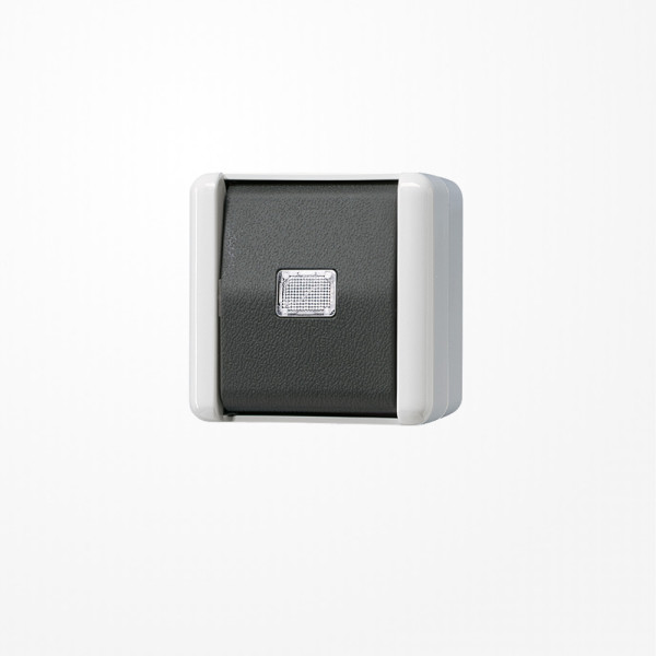 Jung 833-2W Taster, 2-pol. Wechsler, 10 A 250 V ~, IP 44, WG 800