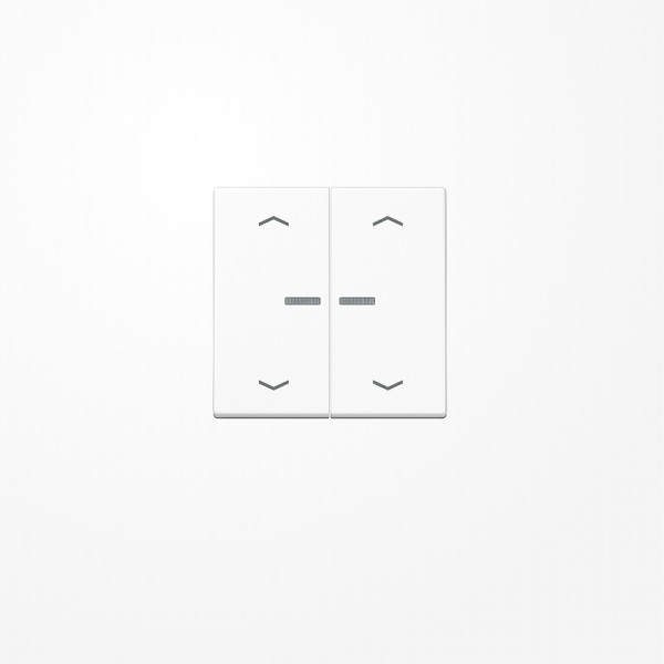 Jung A102KO5PWW Wippe mit Lichtleiter, mit Pfeilsymbolen für Taster 2fach, Duroplast, F10, Serie A, alpinweiß