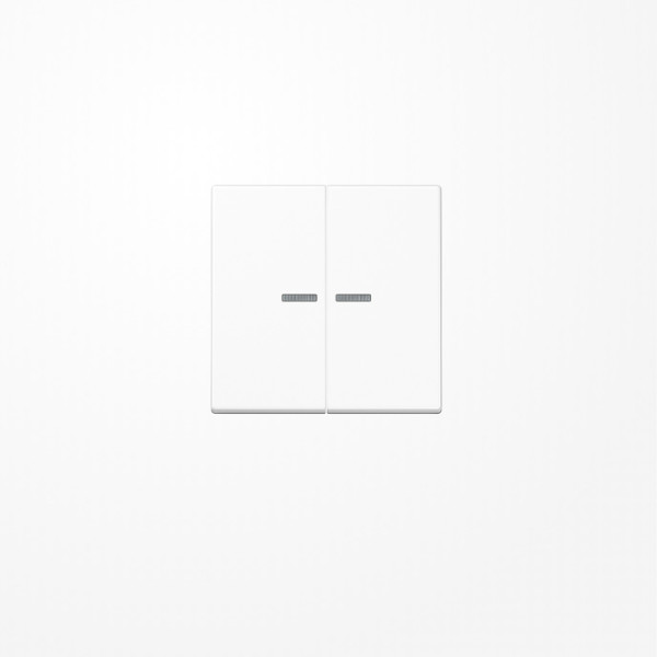 Jung A10921STRFBFWW KNX RF Taster 2fach, Thermoplast, Serie A, alpinweiß