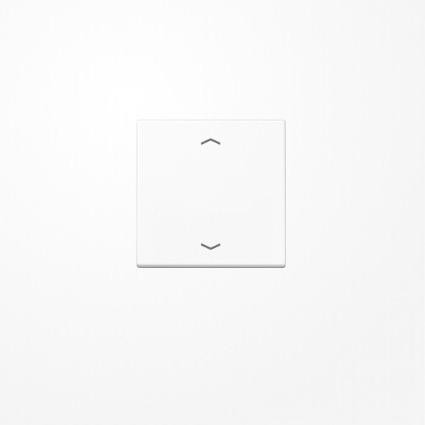 Jung A1700PWW LB-Management Taster 1fach, mit Pfeilsymbolen, Duroplast, Serie A, alpinweiß