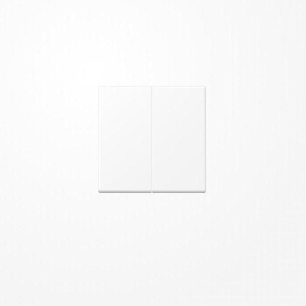 Jung A1702BFWWM LB-Management Taster 2fach, Thermoplast lackiert, Serie A, schneeweiß matt