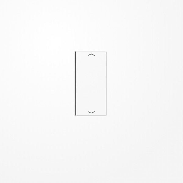 Jung A402TSAPWW Taste 2fach, mit Pfeilsymbolen, F40, Serie A, alpinweiß