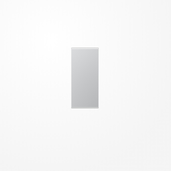 Jung A50NAAL Abdeckung in Tastenfarbe, F50, Thermoplast lackiert, Serie AS/A, aluminium