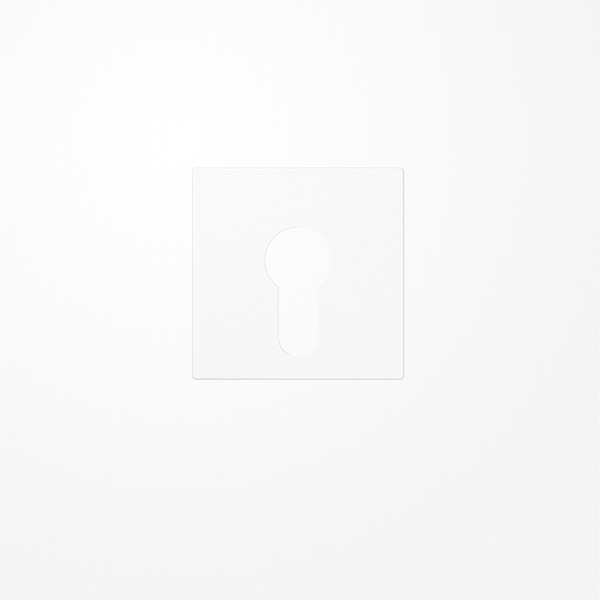 Jung A525PLWW Abdeckung für Schlüsselschalter ohne Demontageschutz, Thermoplast, Serie AS/A, alpinweiß