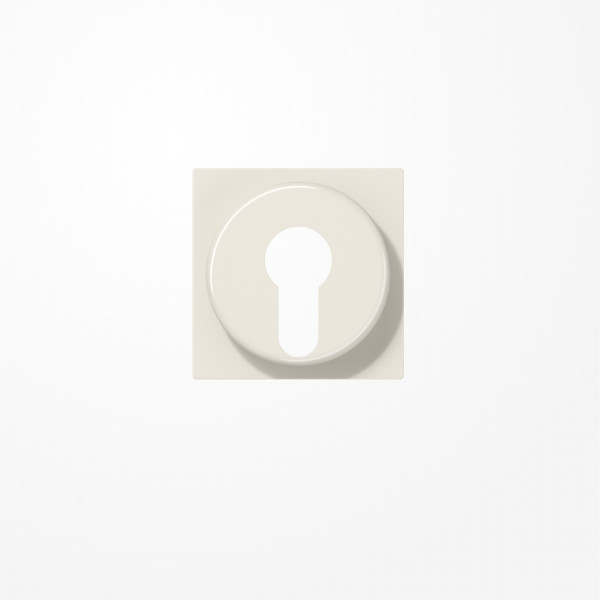 Jung A528PL Abdeckung für Schlüsselschalter mit Demontageschutz, Thermoplast, Serie AS, weiß