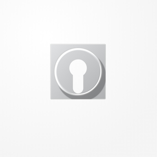 Jung A528PLAL Abdeckung für Schlüsselschalter mit Demontageschutz, Thermoplast lackiert, Serie A, aluminium