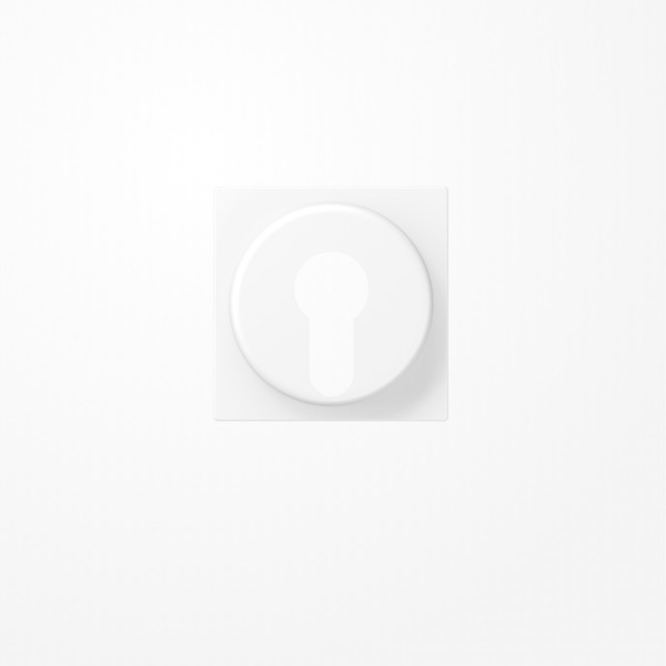 Jung A528PLWWM Abdeckung für Schlüsselschalter mit Demontageschutz, Thermoplast lackiert, Serie A, schneeweiß matt