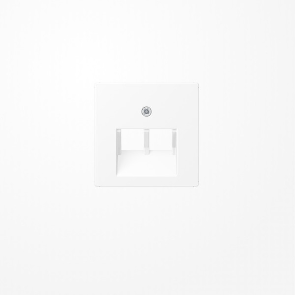 Jung A569-2BFPLUAWWM Abdeckung für IAE/UAE-Anschlussdosen 2x8-polig, Thermoplast lackiert, Serie A, schneeweiß matt