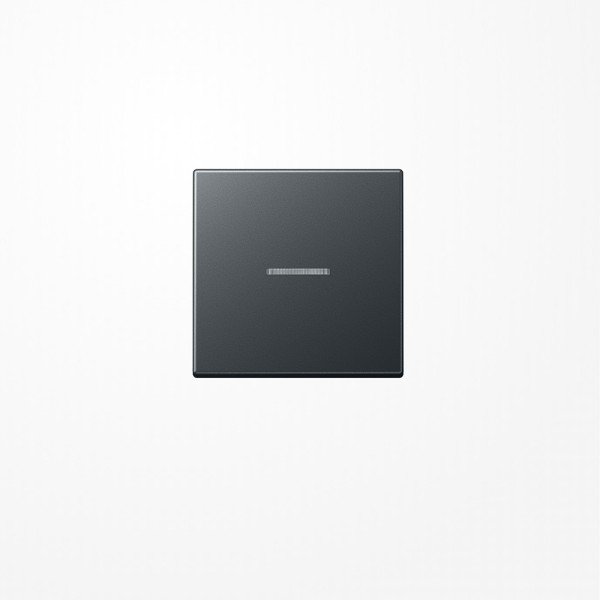 Jung A590BFKO5ANM Wippe mit Lichtleiter, Thermoplast lackiert, Serie A, anthrazit matt