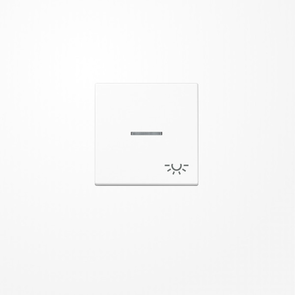 Jung A590BFKO5LWW Wippe mit Lichtleiter, Symbol Licht, Thermoplast, Serie A, alpinweiß