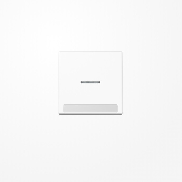 Jung A590BFNAKO5WW Wippe mit Lichtleiter, mit Schriftfeld, Thermoplast, Serie A, alpinweiß