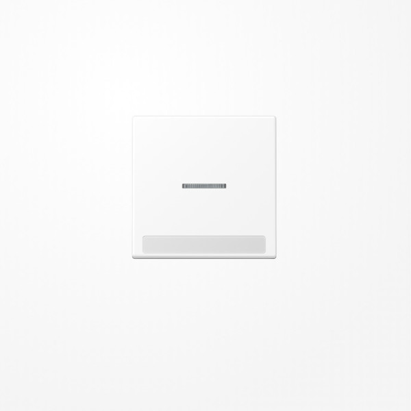 Jung A590BFNAKO5WWM Wippe mit Lichtleiter, mit Schriftfeld, Thermoplast lackiert, Serie A, schneeweiß matt