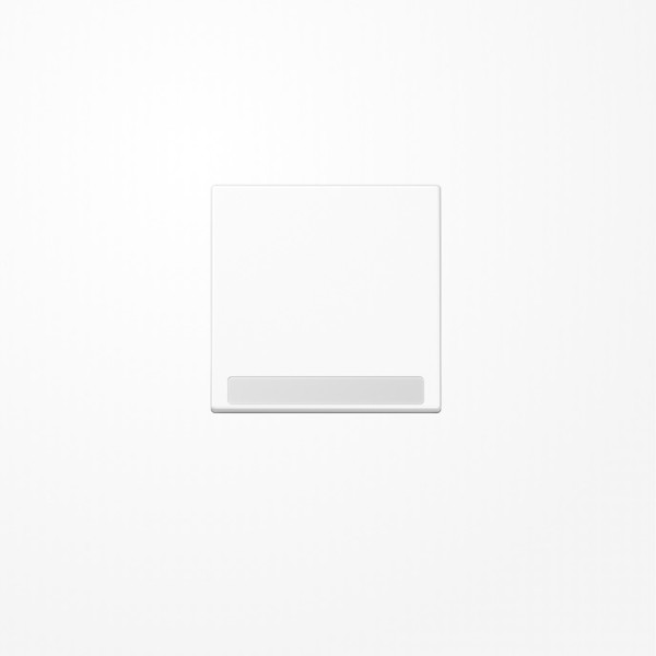 Jung A590BFNAWW Wippe, mit Schriftfeld, Thermoplast, Serie A, alpinweiß