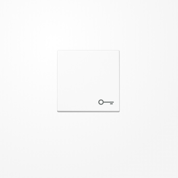 Jung A590BFTWW Wippe, Symbol Tür, Thermoplast, Serie A, alpinweiß