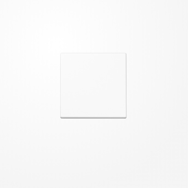 Jung A590BFWW Wippe, Thermoplast, Serie A, alpinweiß