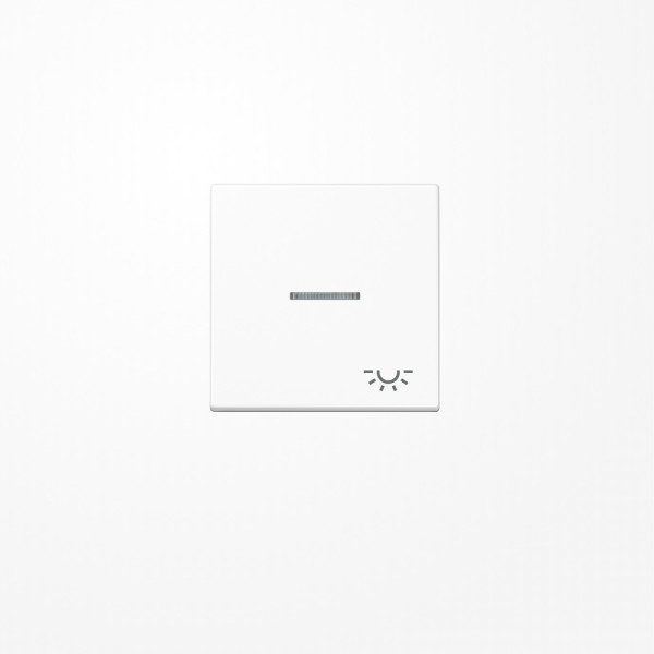 Jung A590KO5LWW Wippe mit Lichtleiter, Symbol Licht, Duroplast, Serie A, alpinweiß