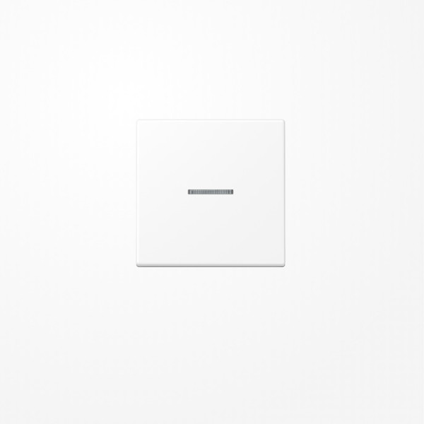 Jung A590KO5WWM Wippe mit Lichtleiter, Duroplast lackiert, Serie A, schneeweiß matt